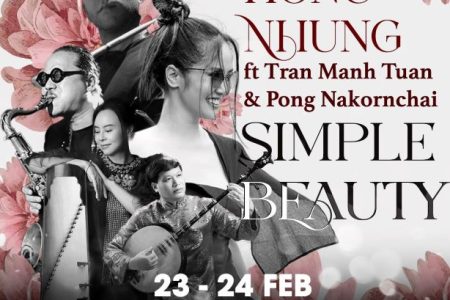 Hong nhung Simple beauty Saxn'art