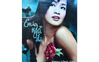 Bia CD Em hay ngu di 1